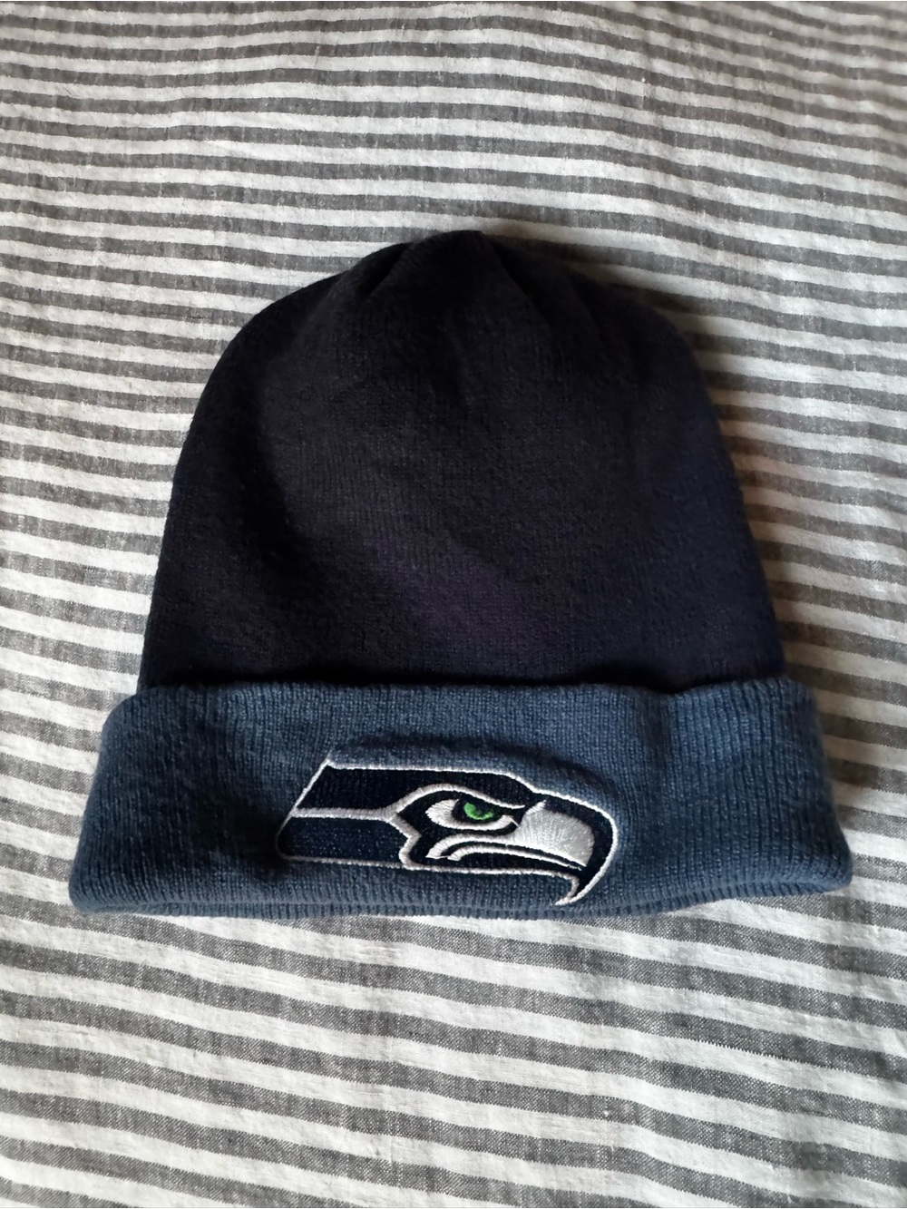 Seattle Seahawks Navy Embroidered NFL Knit Beanie Hat
